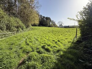 Paddock- click for photo gallery